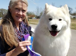 Read more about the article All New Mexico Veterans